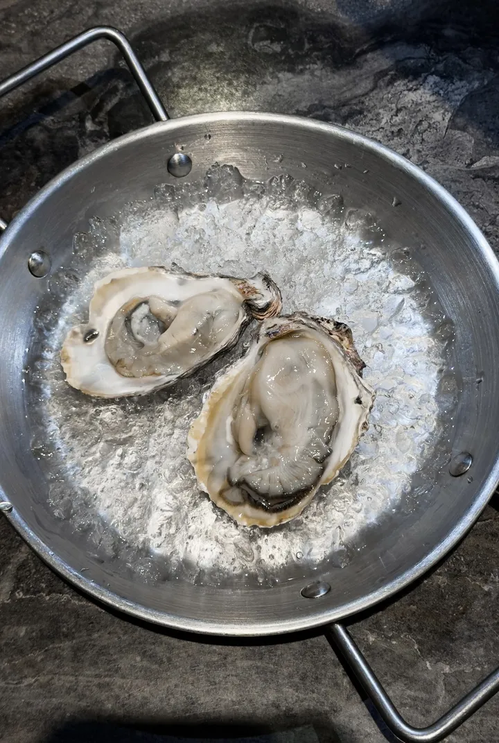 Fresh Oysters